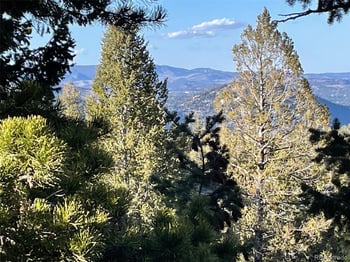 33131 Lynx Ln, Evergreen, CO 80439