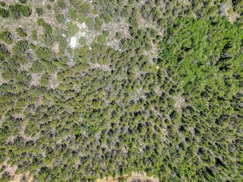 111 Moldavia Claim, Black Hawk, CO 80427