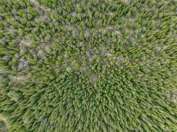 111 Mosquito Creek Rd, Black Hawk, CO 80422