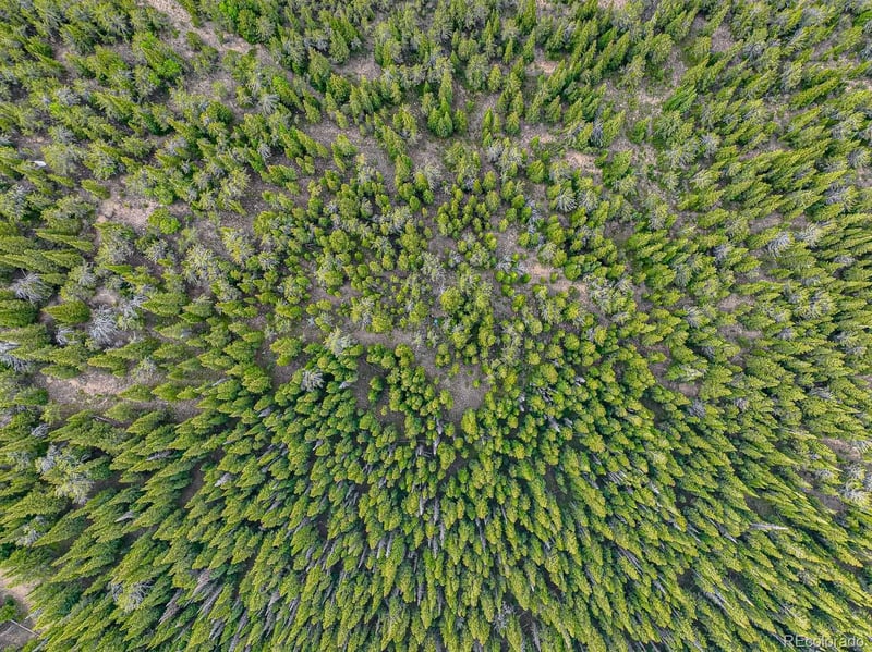 111 Mosquito Creek Rd, Black Hawk, CO 80422