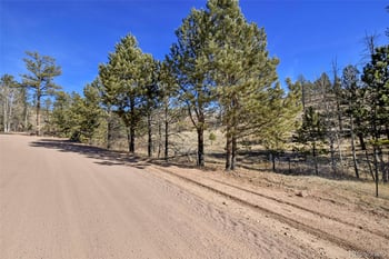 292 Chateau West Dr, Florissant, CO 80816