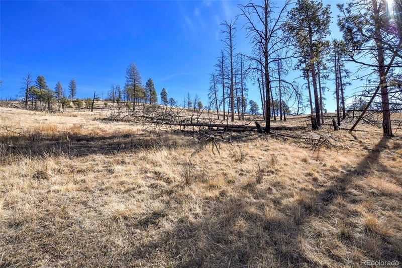 292 Chateau West Dr, Florissant, CO 80816