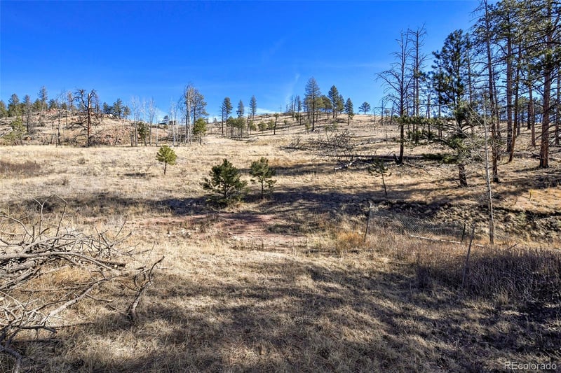 292 Chateau West Dr, Florissant, CO 80816