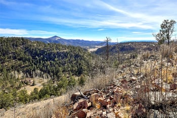 292 Chateau West Dr, Florissant, CO 80816