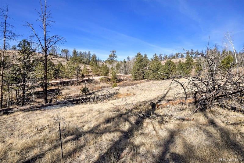 292 Chateau West Dr, Florissant, CO 80816