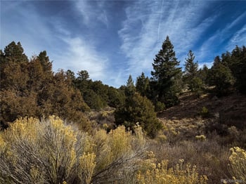 00 Jaidi Rd, Fort Garland, CO 81133