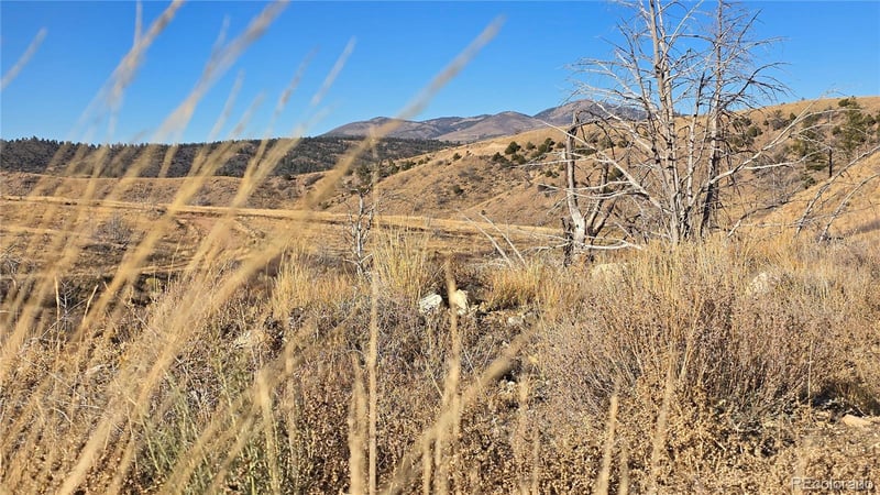 7741 Van Giesen Rd, Fort Garland, CO 81133