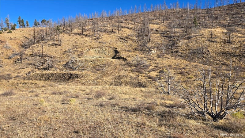 7741 Van Giesen Rd, Fort Garland, CO 81133