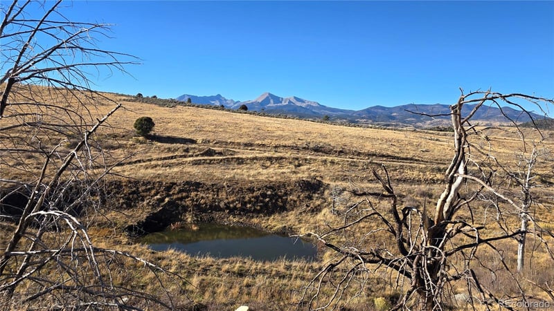 7741 Van Giesen Rd, Fort Garland, CO 81133