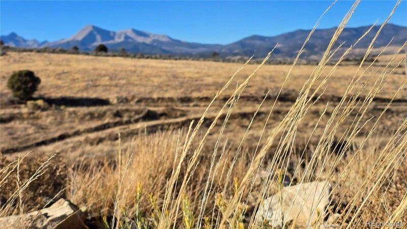 7741 Van Giesen Rd, Fort Garland, CO 81133