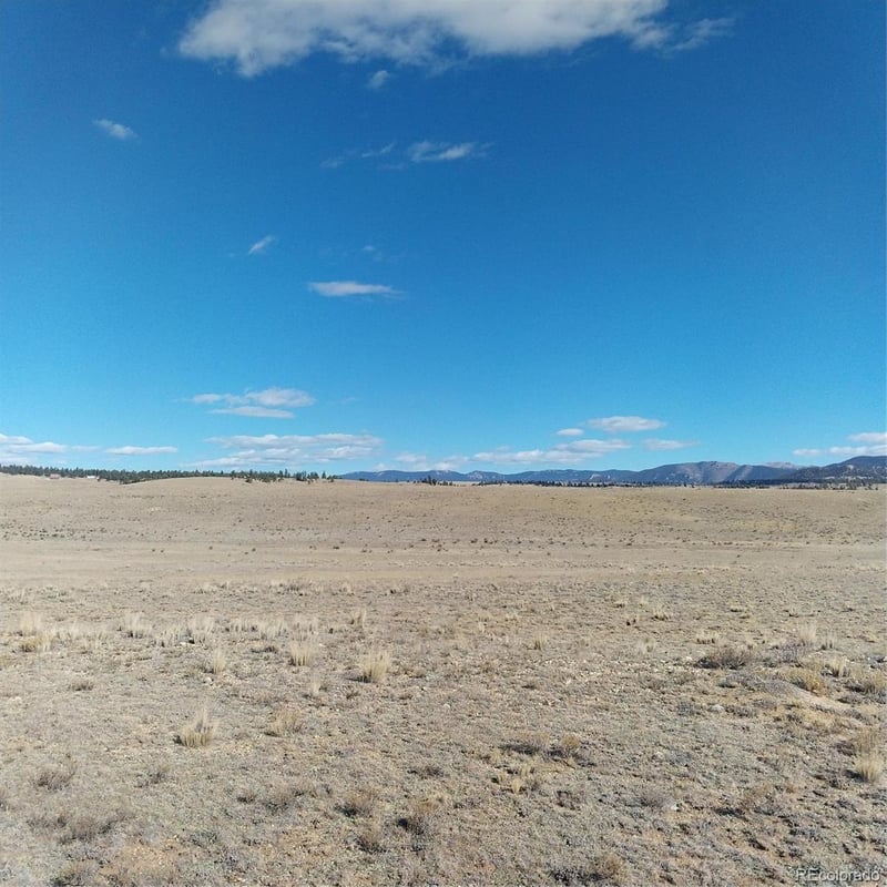 3552 Ute Tc, Hartsel, CO 80449