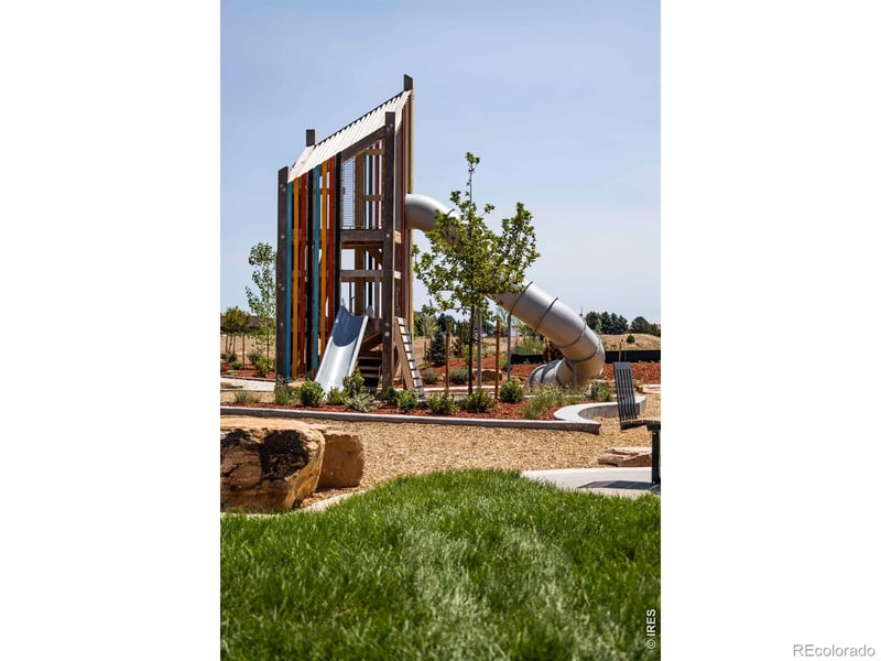 754 Trumpet Ct, Windsor, CO 80550