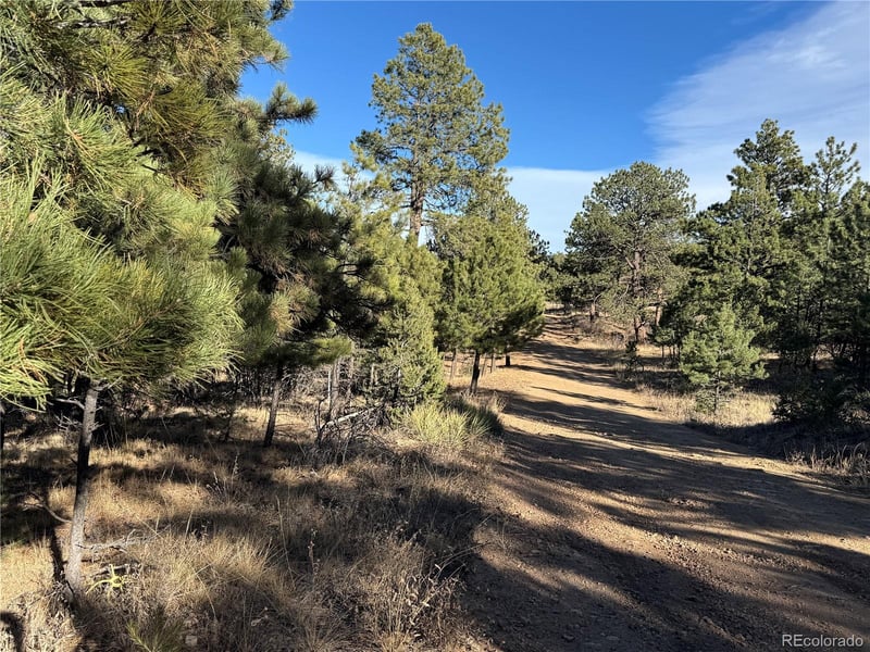 Lot 35 Stephens Dr, Westcliffe, CO 81252