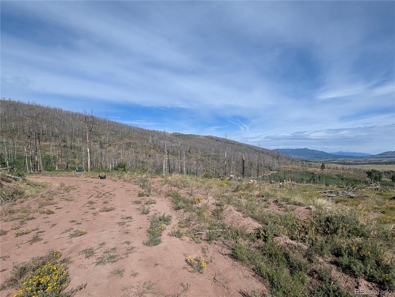 910 Ueda Pl, Fort Garland, CO 81133