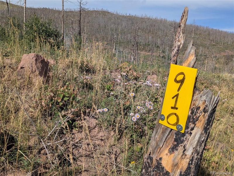 910 Ueda Pl, Fort Garland, CO 81133