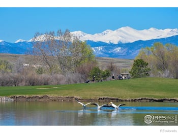 2000 Bayfront Dr, Windsor, CO 80550