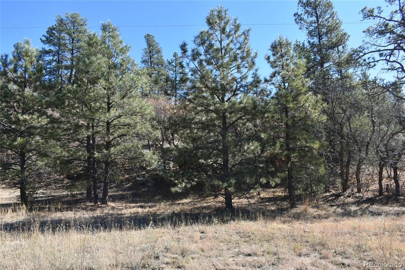 268-269 Rancho La Garita Filing No 8 Lot 268-269, Weston, CO 81091