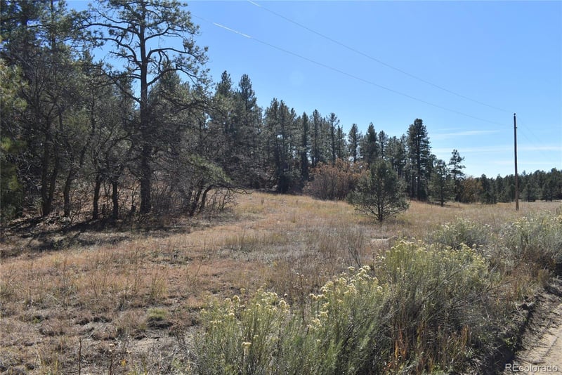 268-269 Rancho La Garita Filing No 8 Lot 268-269, Weston, CO 81091
