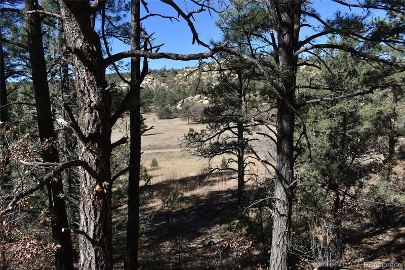 268-269 Rancho La Garita Filing No 8 Lot 268-269, Weston, CO 81091