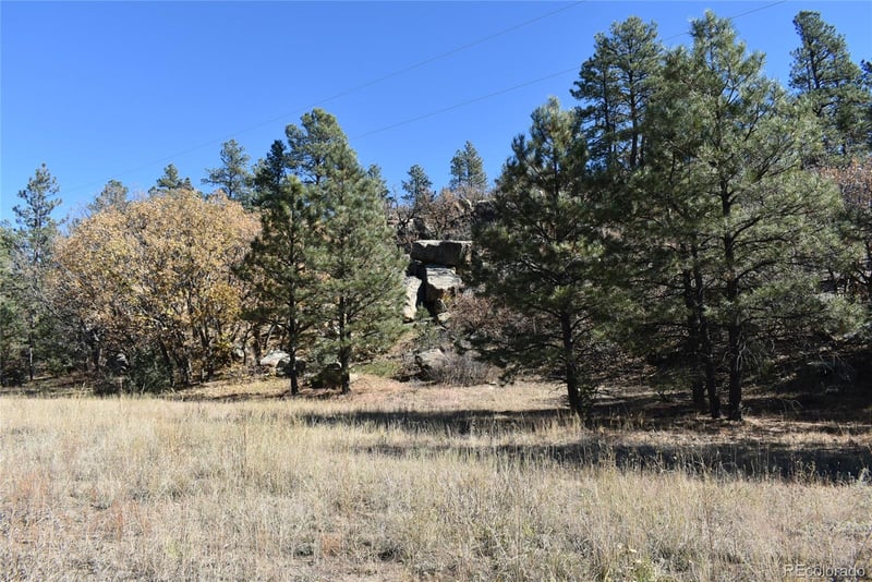 268-269 Rancho La Garita Filing No 8 Lot 268-269, Weston, CO 81091