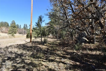 268-269 Rancho La Garita Filing No 8, Weston, CO 81091