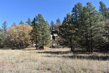 268-269 Rancho La Garita Filing No 8, Weston, CO 81091
