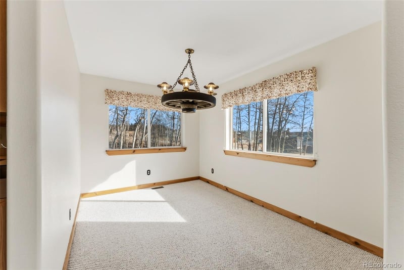 316 3rd St, Fairplay, CO 80440