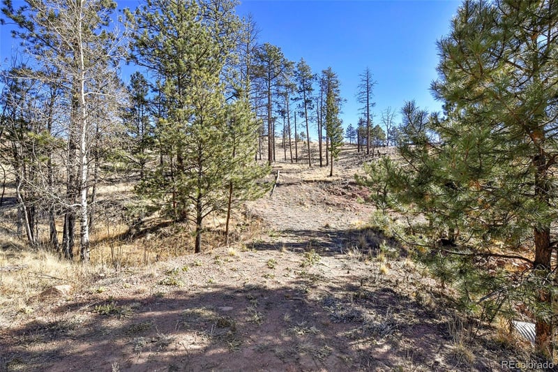 238 Chateau West Dr, Florissant, CO 80816