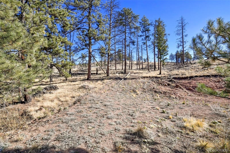 238 Chateau West Dr, Florissant, CO 80816