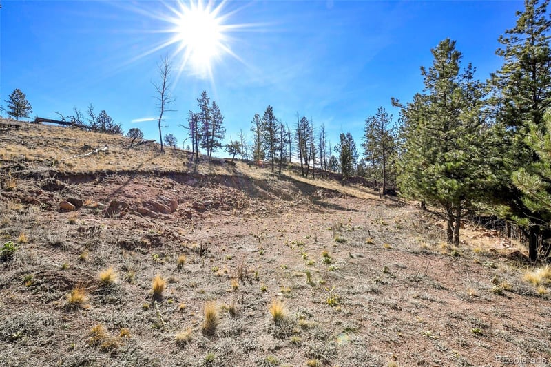 238 Chateau West Dr, Florissant, CO 80816