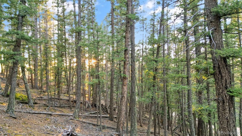 1289 Yorktown Rd, Cripple Creek, CO 80813