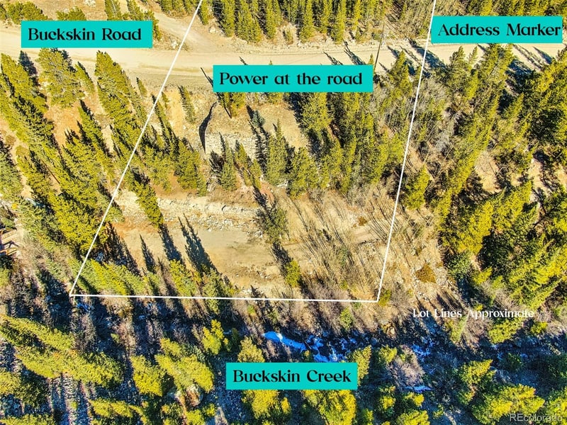 2167 Buckskin Rd, Alma, CO 80420