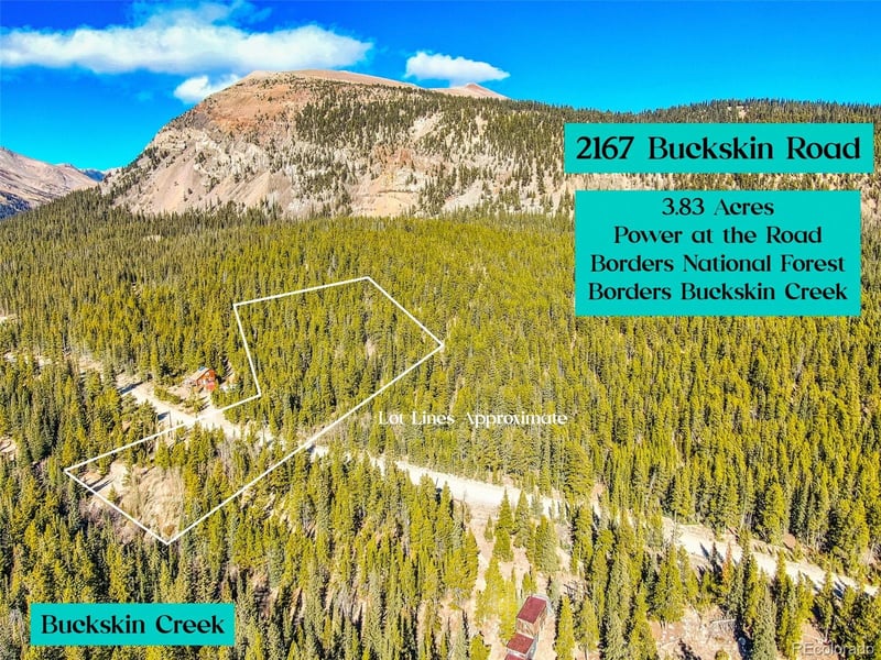 2167 Buckskin Rd, Alma, CO 80420