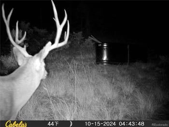 9100 County Rd 102, Guffey, CO 80820