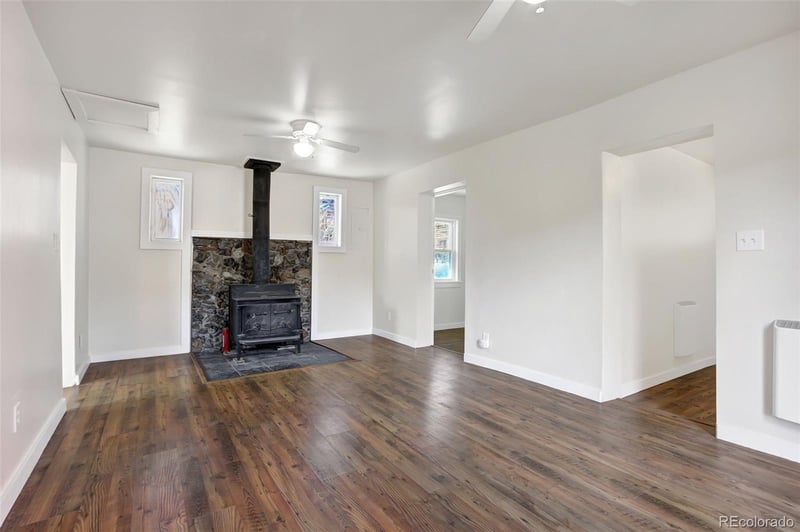 50 Singleton Rd, Alma, CO 80420