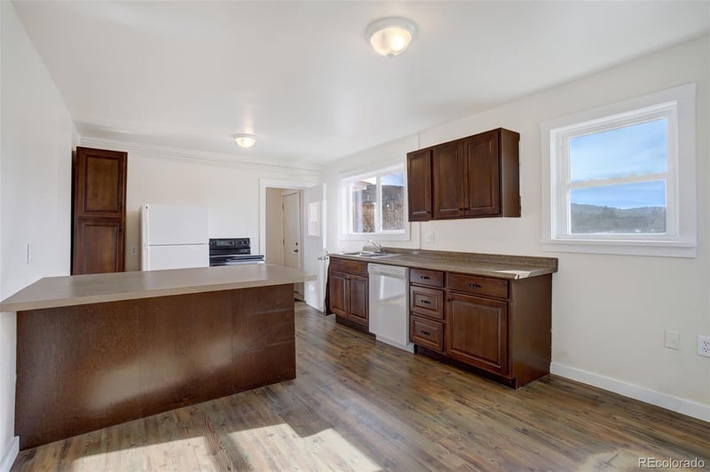 50 Singleton Rd, Alma, CO 80420