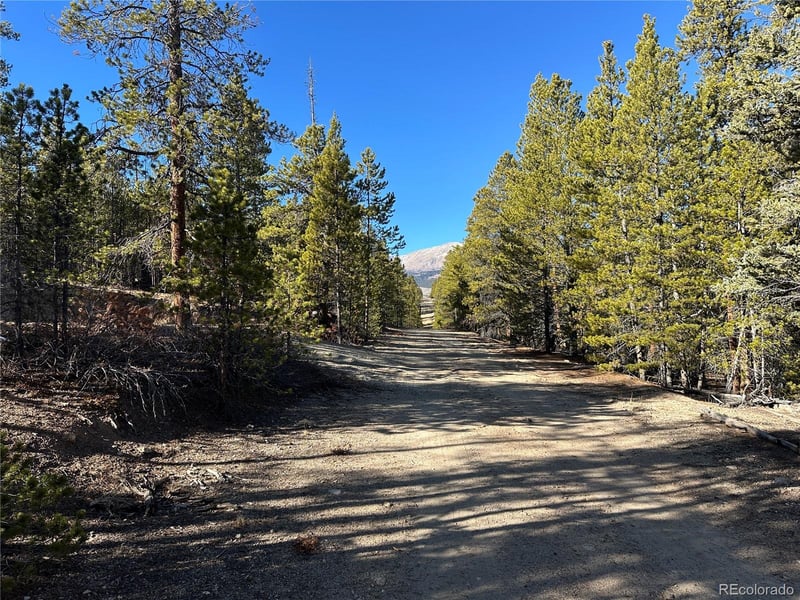 48 Lodgepole Dr, Leadville, CO 80461