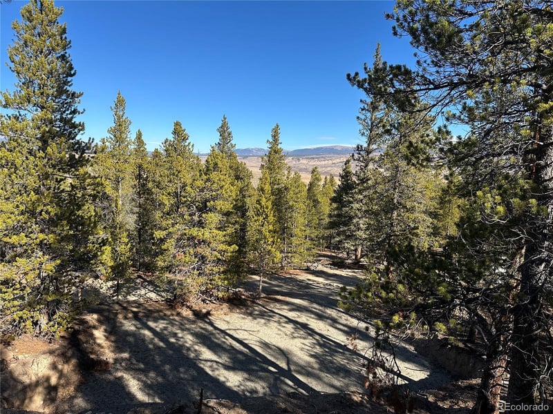 48 Lodgepole Dr, Leadville, CO 80461