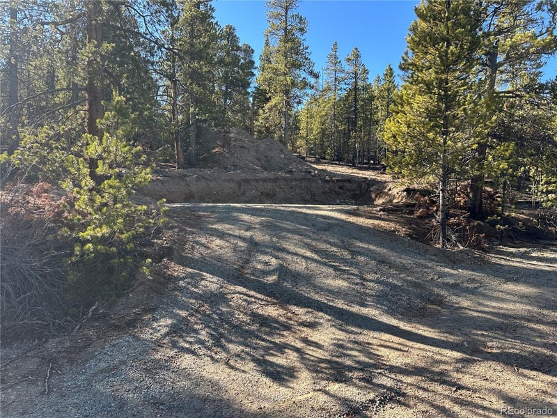 48 Lodgepole Dr, Leadville, CO 80461