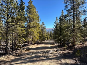 48 Lodgepole Dr, Leadville, CO 80461