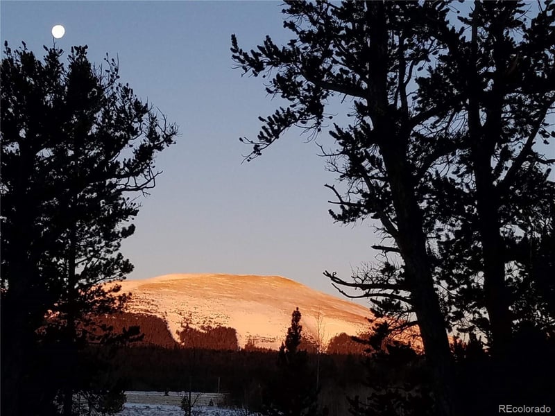 416 Foxtail Dr, Fairplay, CO 80440