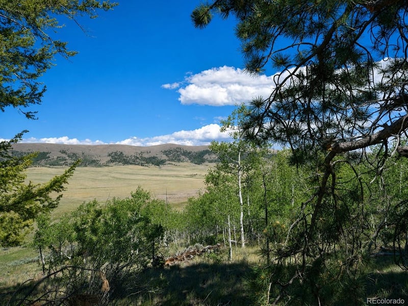 2381 Redhill Rd, Fairplay, CO 80440