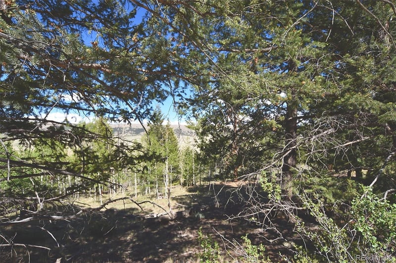 2381 Redhill Rd, Fairplay, CO 80440