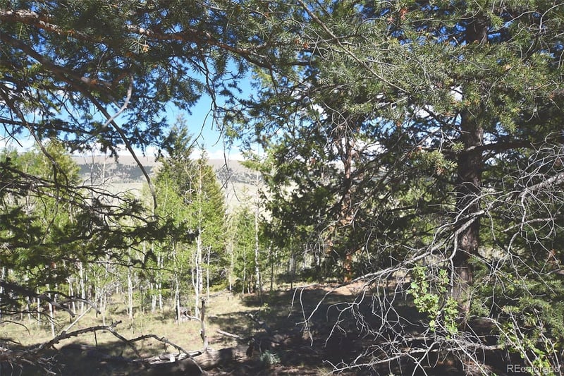 2381 Redhill Rd, Fairplay, CO 80440