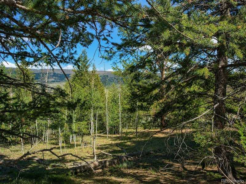 2381 Redhill Rd, Fairplay, CO 80440