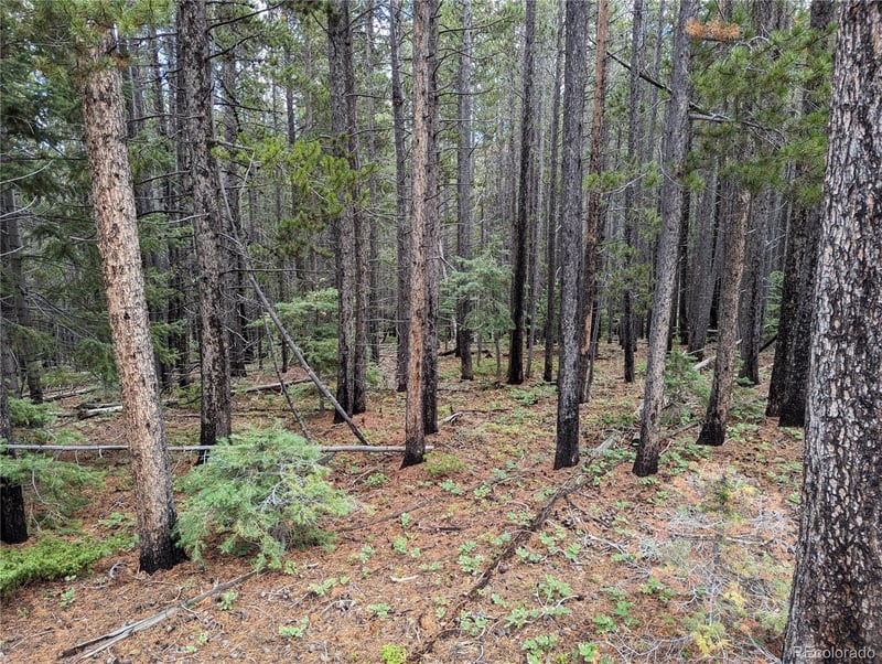 3022 Bolwell Ln, Fort Garland, CO 81133