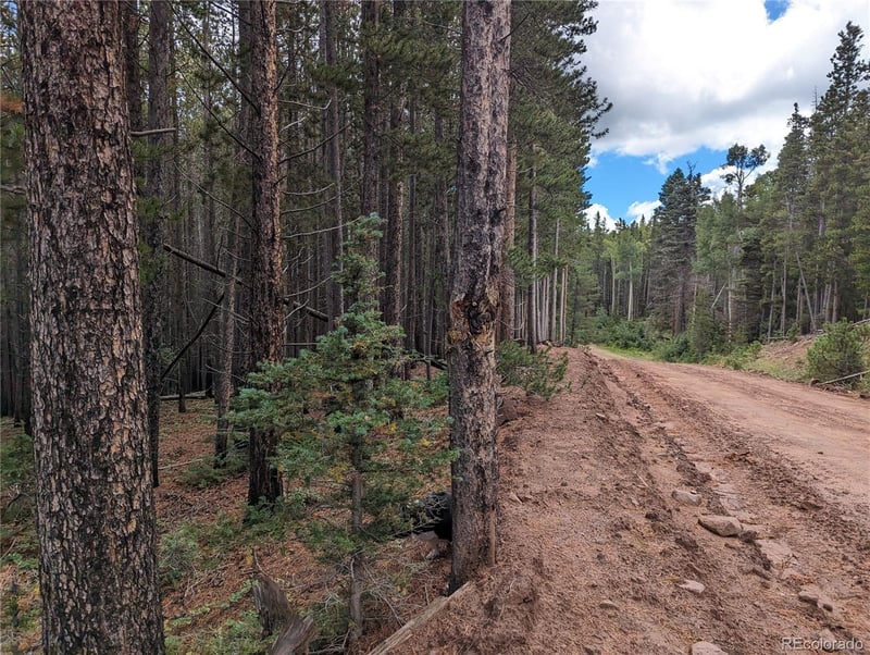 3022 Bolwell Ln, Fort Garland, CO 81133