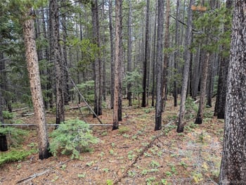 3022 Bolwell Ln, Fort Garland, CO 81133