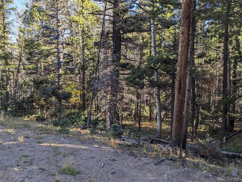 3067 Forbes Park Loop, Fort Garland, CO 81133