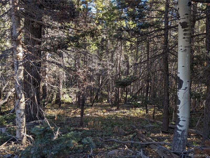 3067 Forbes Park Loop, Fort Garland, CO 81133